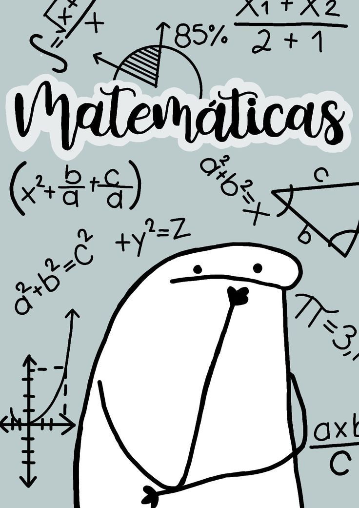 MATEMÁTICAS 501